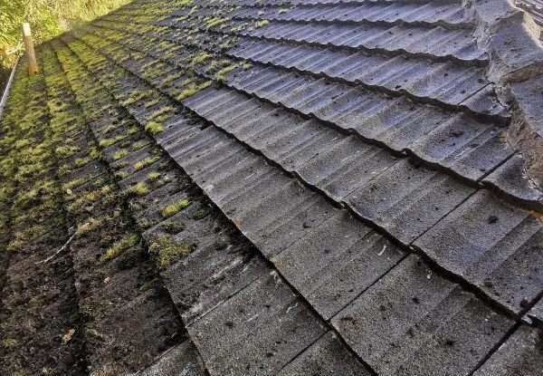 Roof with moss growth being treated